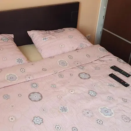 Apartman Banja Koviljaca Apartment