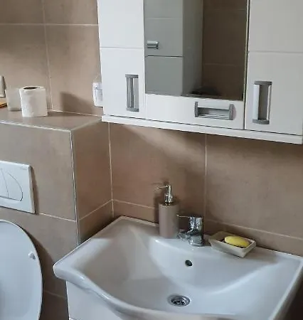 Apartment Apartman Banja Koviljaca *