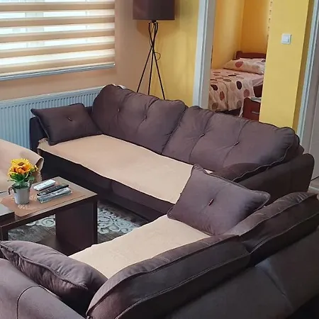 Apartman Banja Koviljaca Apartment