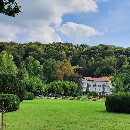 Apartman Banja Koviljaca