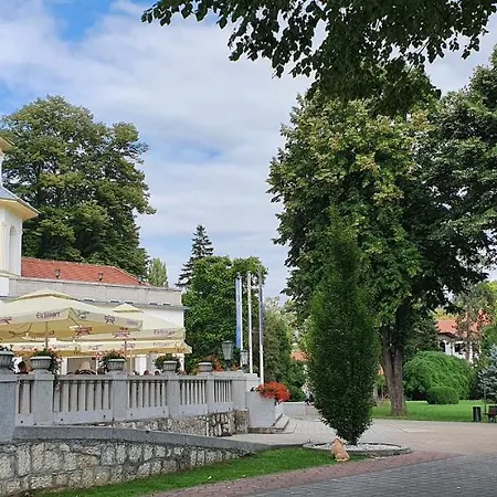 Lägenhet Apartman Banja Koviljaca