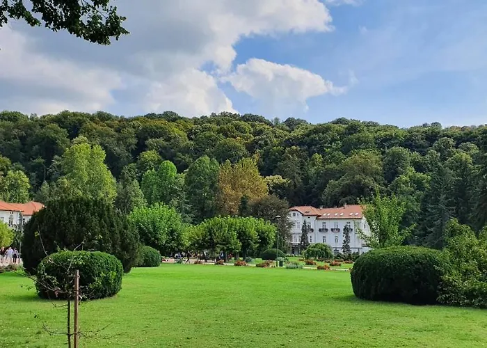 Apartman Banja Koviljaca